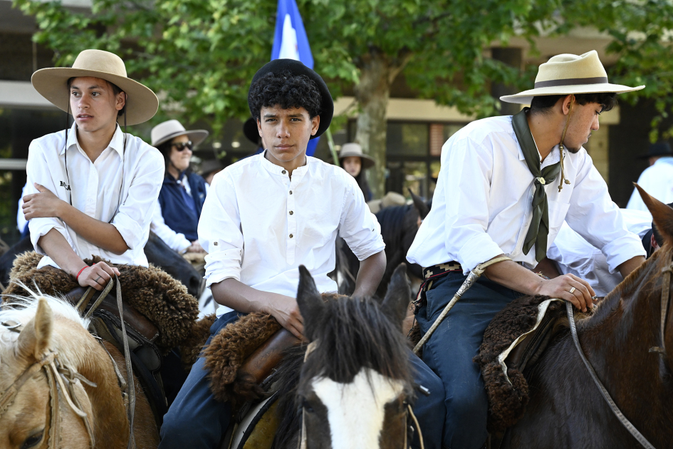 Jovenes