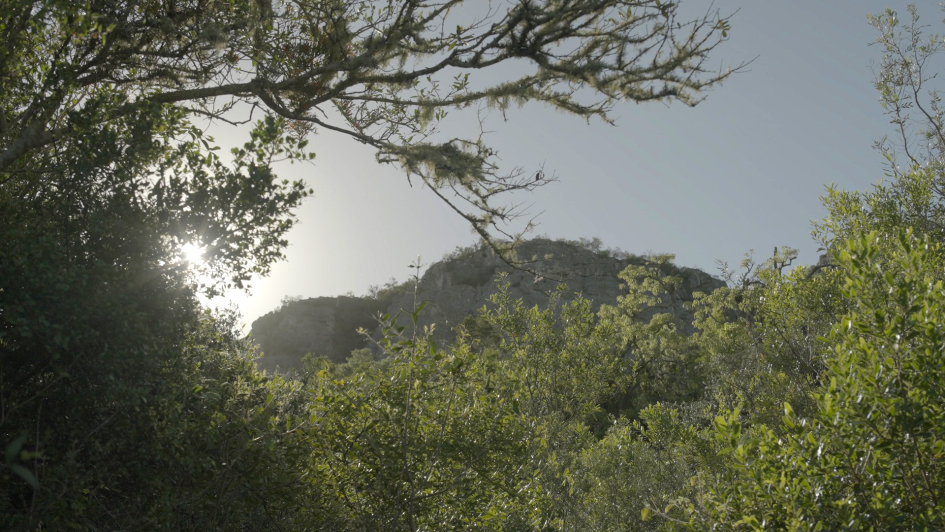 Plano general del paisaje