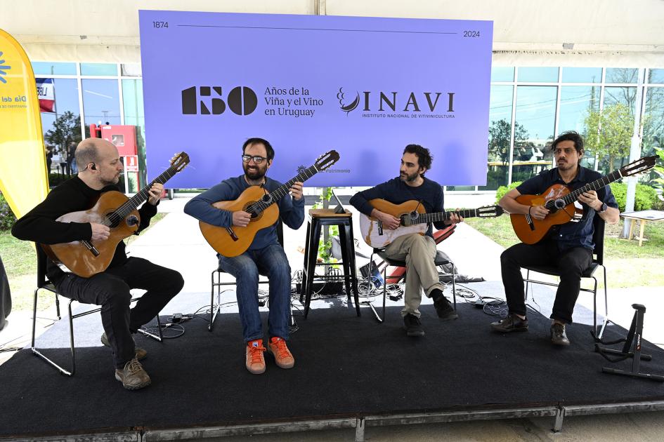Guitarras