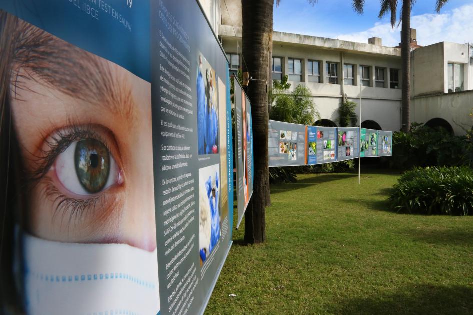 Fotogalería "Clemente Investiga" expuesta en el patio del Instituto Clemente Estable en 2023 Fotogalería "Clemente Investiga" expuesta en el patio del Instituto Clemente Estable en 2023