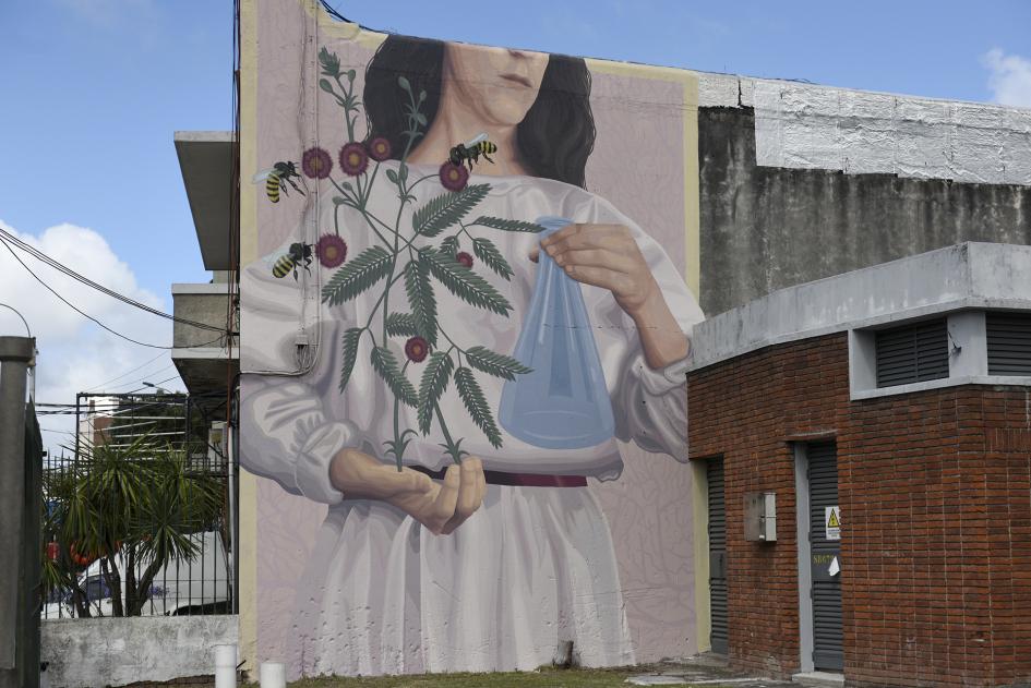 Mural pintado en la fachada del IIBCE