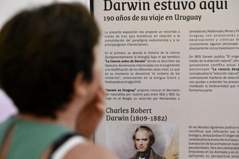 “Darwin estuvo aquí. 190 años de su viaje en Uruguay” en el Museo de Historia Natural. “Darwin estuvo aquí. 190 años de su viaje en Uruguay” en el Museo de Historia Natural.