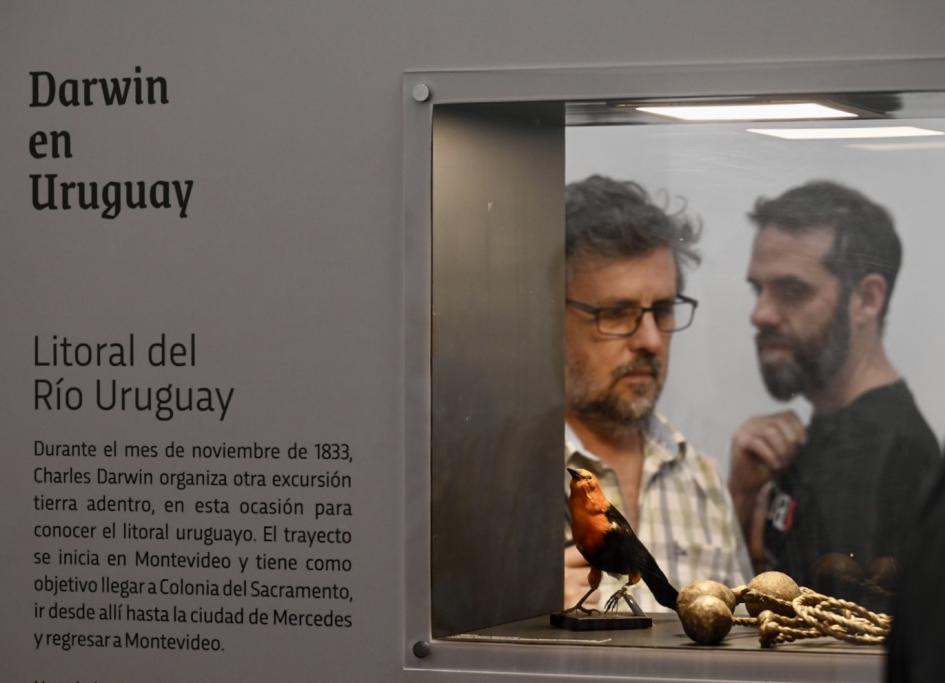 “Darwin estuvo aquí. 190 años de su viaje en Uruguay” en el Museo de Historia Natural. “Darwin estuvo aquí. 190 años de su viaje en Uruguay” en el Museo de Historia Natural.