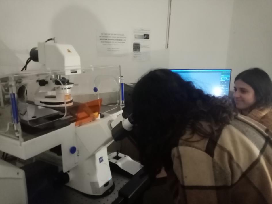 Taller en el IIBCE sobre microscopía Taller en el IIBCE sobre microscopía