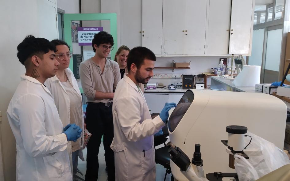 Pasantes e investigadores trabajando en el laboratorio Pasantes e investigadores trabajando en el laboratorio