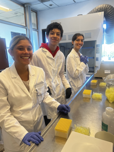 Estudiantes participantes del programa en el laboratorio. Estudiantes participantes del programa en el laboratorio.