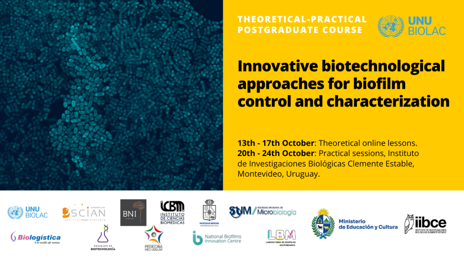 Curso Innovative biotechnological approaches for biofilm control and characterization Curso Innovative biotechnological approaches for biofilm control and characterization