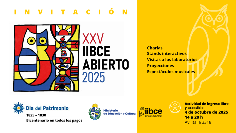 Gráfica de invitación al IIBCE Abierto 25