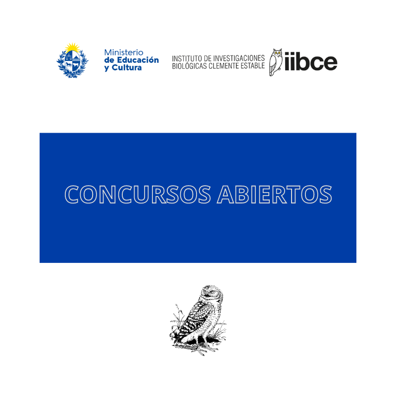 Llamados a cargos vacantes en el Instituto Clemente Estable. Llamados