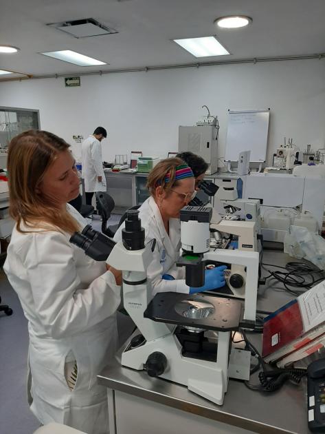 Patricia Vaz y María Inés siri en el Laboratorio de Procesos Biotecnológicos del CIATEJ