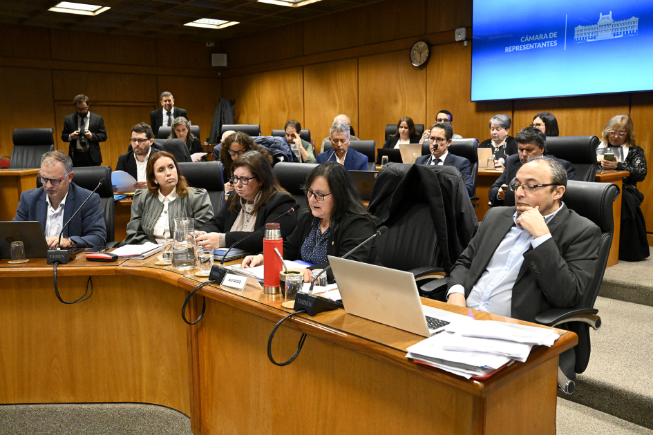 Autoridades del MEC presentaron presupuesto quinquenal en el Parlamento