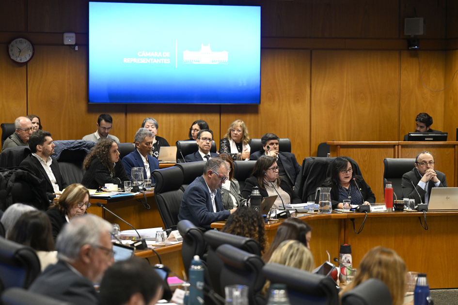 Autoridades del MEC presentaron presupuesto quinquenal en el Parlamento
