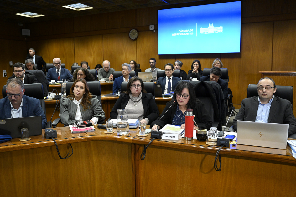 Autoridades del MEC presentaron presupuesto quinquenal en el Parlamento