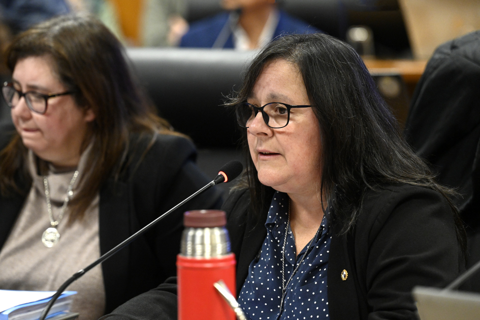 Autoridades del MEC presentaron presupuesto quinquenal en el Parlamento