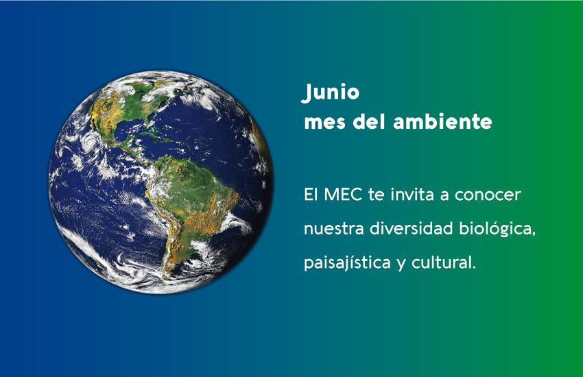 Medio ambiente