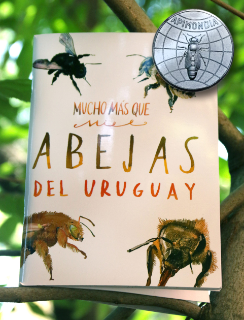 Portada del libro Mucho más que miel, abejas del Uruguay