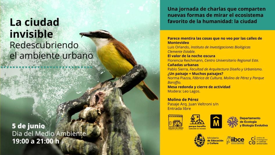 Gráfica promocional charlas Molino Gráfica promocional charlas Molino