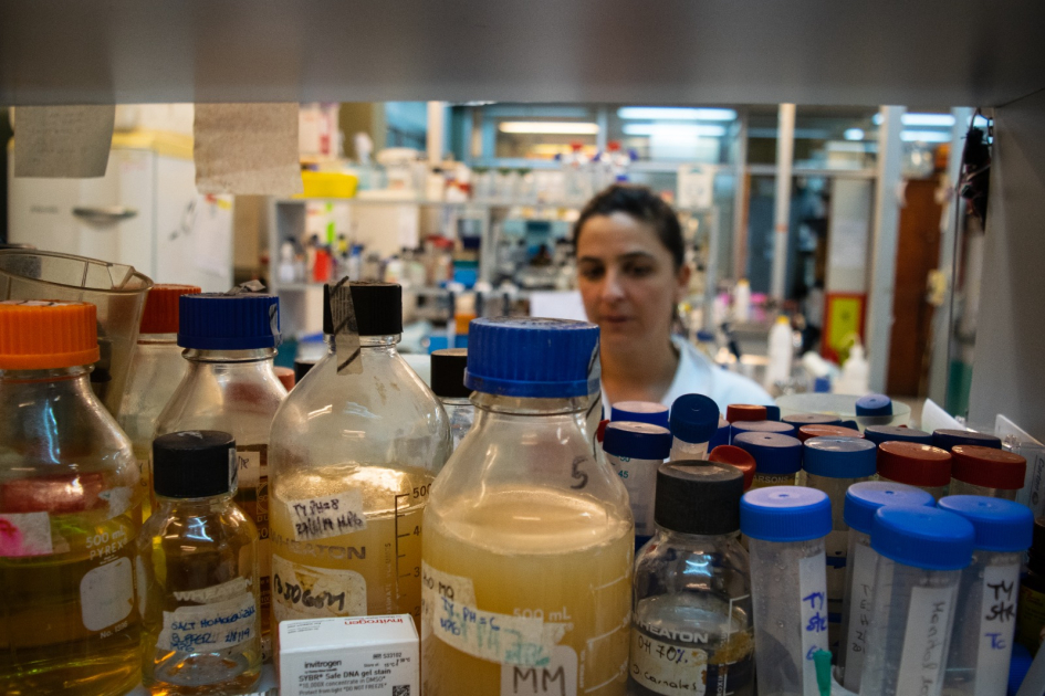 Investigadora Vanesa Amarelle trabajando con muestras de la Antártida en el laboratorio