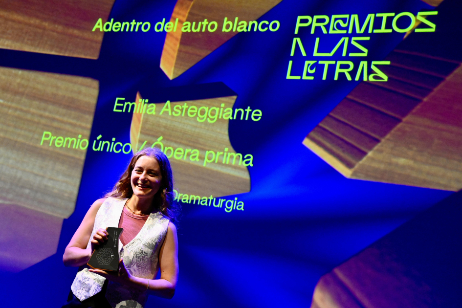 Letras y Música reconocidas en primera edición del Premio a las Artes Persona con el premio.