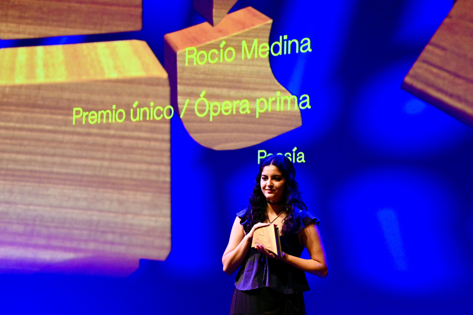 Letras y Música reconocidas en primera edición del Premio a las Artes Persona con el premio.