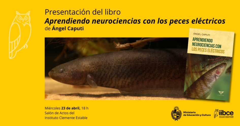 Presentación de Aprendiendo neurociencias con los peces eléctricos Presentación de Aprendiendo neurociencias con los peces eléctricos