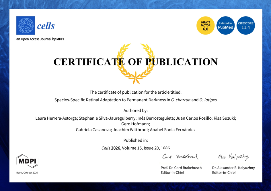 Certificado otorgado por la revista al equipo de investigación Certificado otorgado por la revista al equipo de investigación