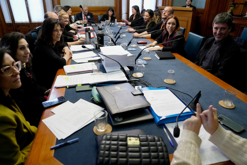 Presentación de la planificación estratégica de la DNC en el Senado