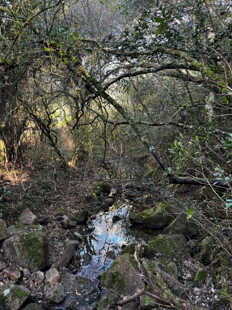 Sitio de muestreo de la investigación Sitio de muestreo de la investigación