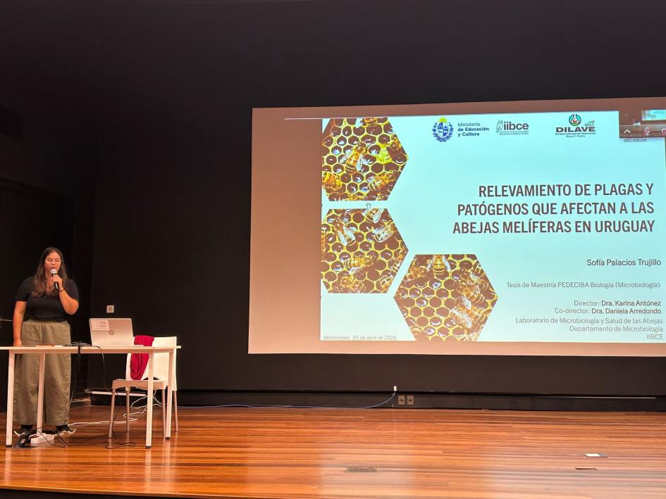 Sofía en la entrega de premios a las mejores tesis de maestría y doctorado 2024 Sofía en la entrega de premios a las mejores tesis de maestría y doctorado 2024