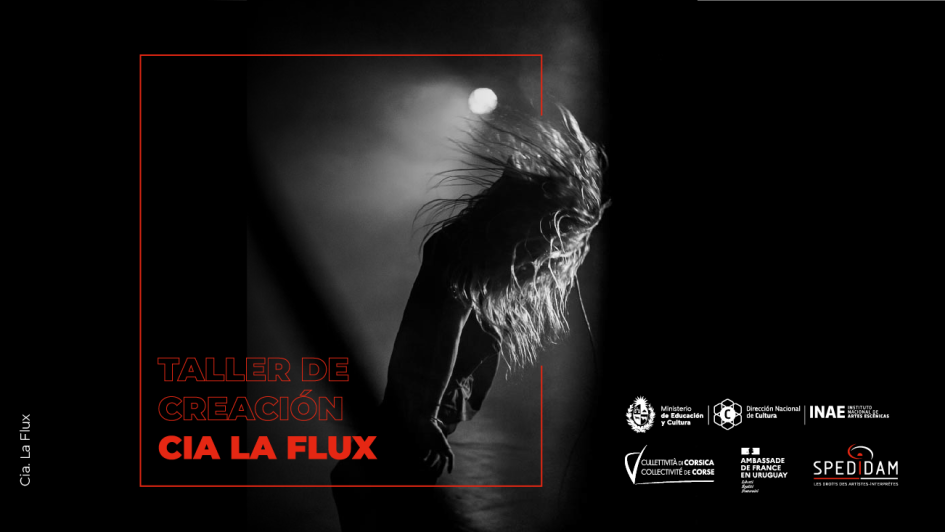 Taller de creación de Cía La Flux