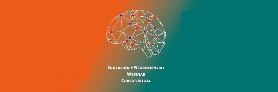 Webinar y cursos Cerebro humano