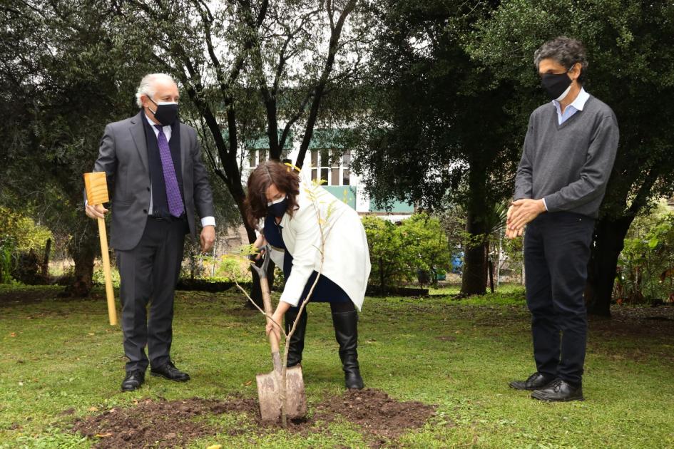 Pablo da Silveira, Faye O' Connor y Pablo Zunino plantando el ibirapitá en el Instituto Estable