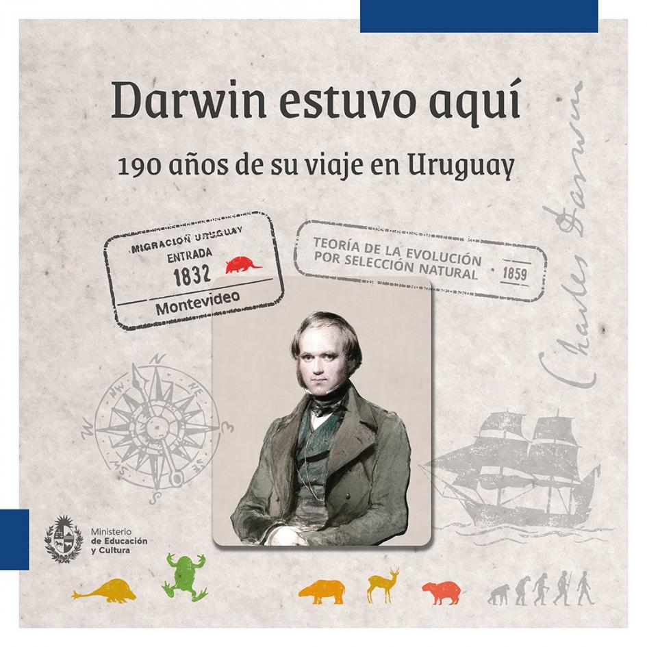 Gráfica de presentación del proyecto Gráfica de presentación del proyecto