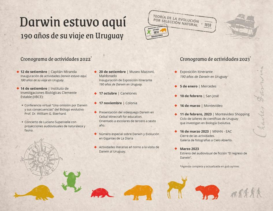 Cronograma de actividades Cronograma de actividades