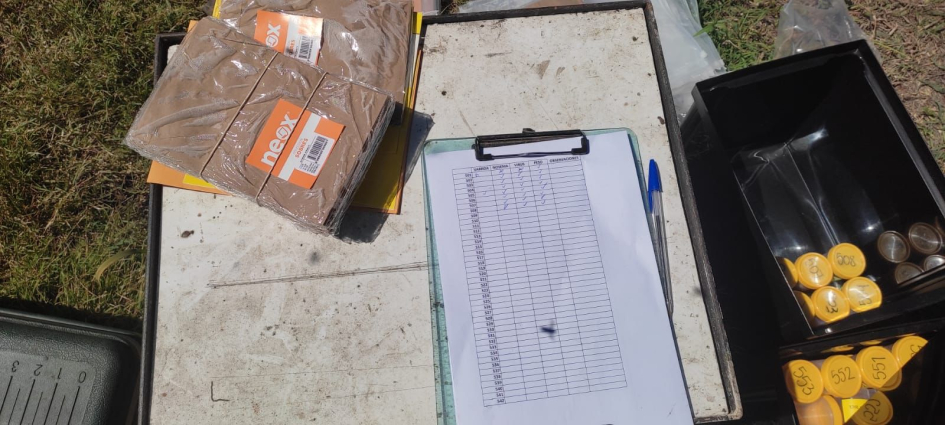 Investigadoras/es evalúan la salud de colonias de Apis mellifera en monocultivos de eucalipto.