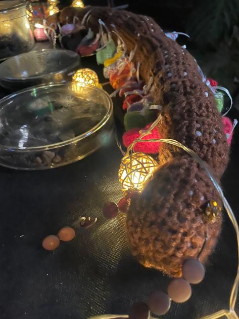 Un miriápodo de crochet junto a la luces de la mesa de exploración Un miriápodo de crochet junto a la luces de la mesa de exploración