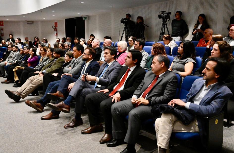 Festival Internacional de Artes Escénicas - Fidae 2024 Festival Internacional de Artes Escénicas - Fidae 2024