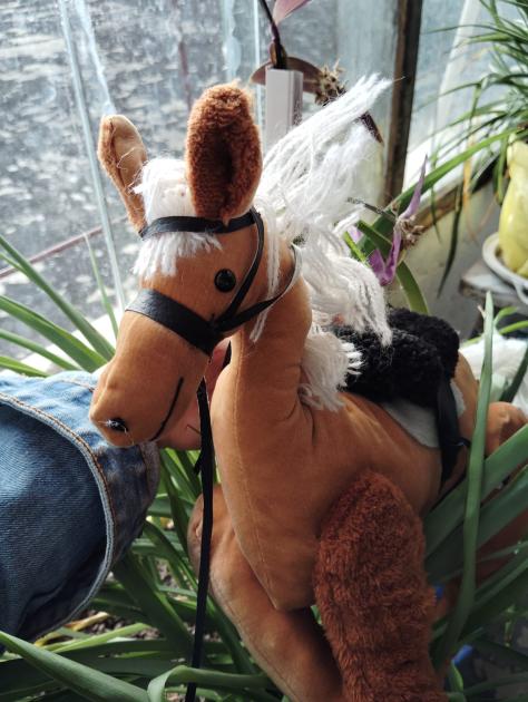 Taller de Textil alternativo de la Unidad N.º 5 de INR Peluche de tela de caballo