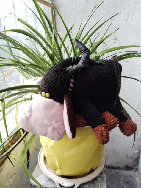 Taller de Textil alternativo de la Unidad N.º 5 de INR Peluche de tela de cabra