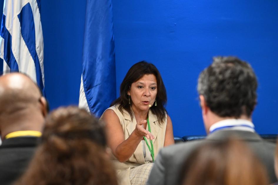 Primera reunión de partes interesadas en microcredenciales en América Latina y el Caribe Exponentes