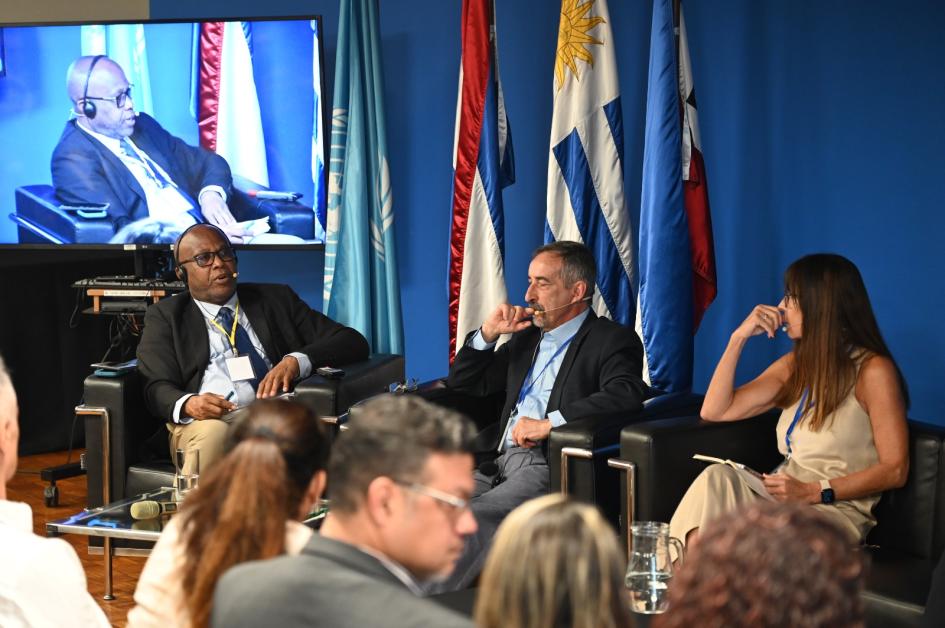 Primera reunión de partes interesadas en microcredenciales en América Latina y el Caribe Exponentes