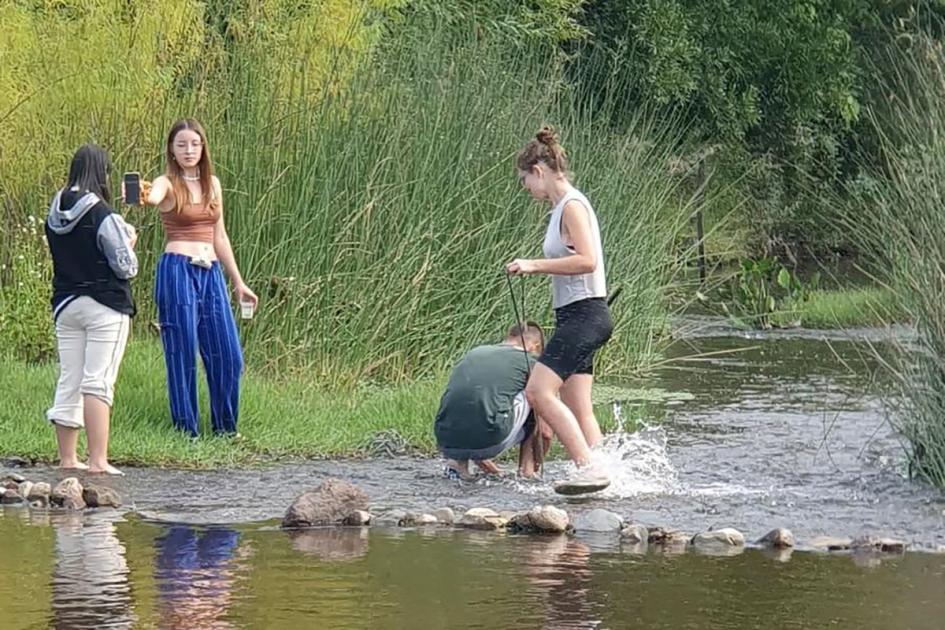 Campamento Latinoamericano de ciencias Estudiantes sacando muestras de un arroyo