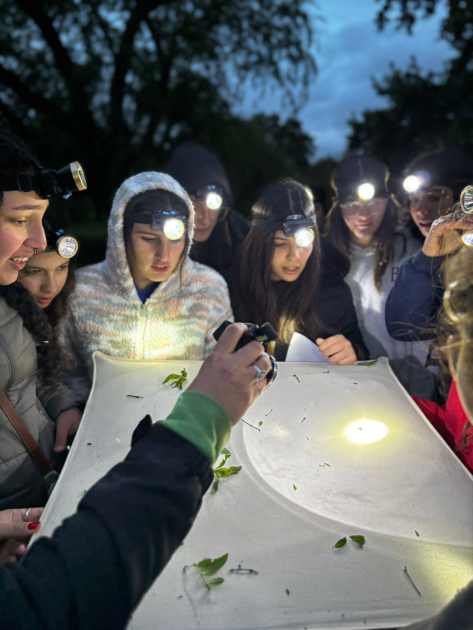 Salida exporatoria nocturna en el camping de Arequita