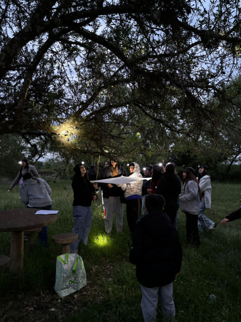 Salida nocturna guiada por científicas del MNHN y el IIBCE