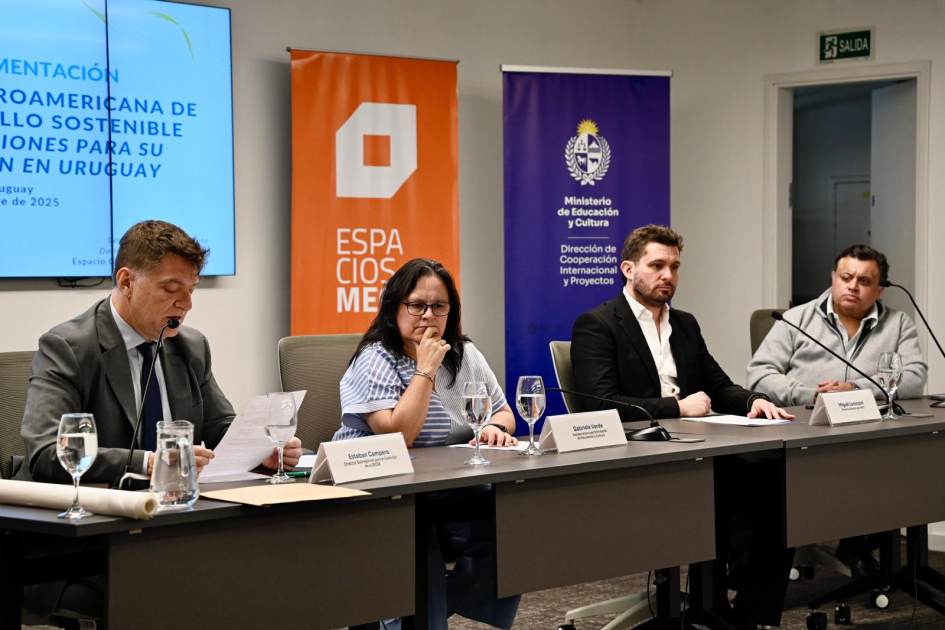 Taller | Estrategia Iberoamericana de Cultura y Desarrollo 