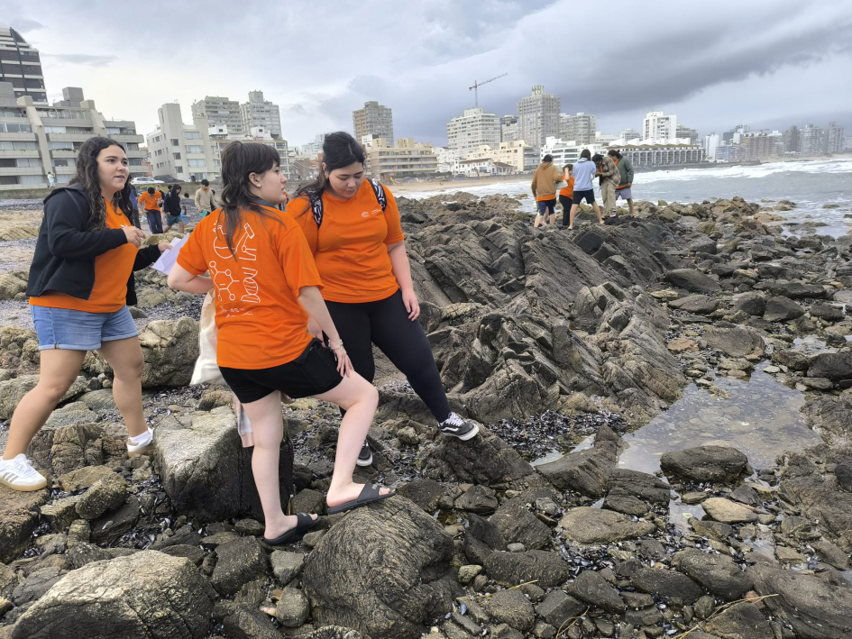 Estudiantes observando en la playa