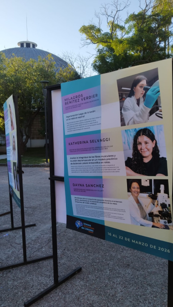 Testimonios de jóvenes neurocientíficas Testimonios de jóvenes neurocientíficas