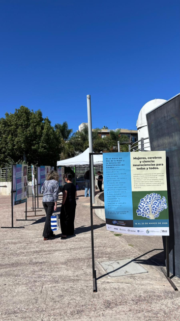 Mujeres, cerebros y ciencias: neurociencias para todas y todos Mujeres, cerebros y ciencias: neurociencias para todas y todos