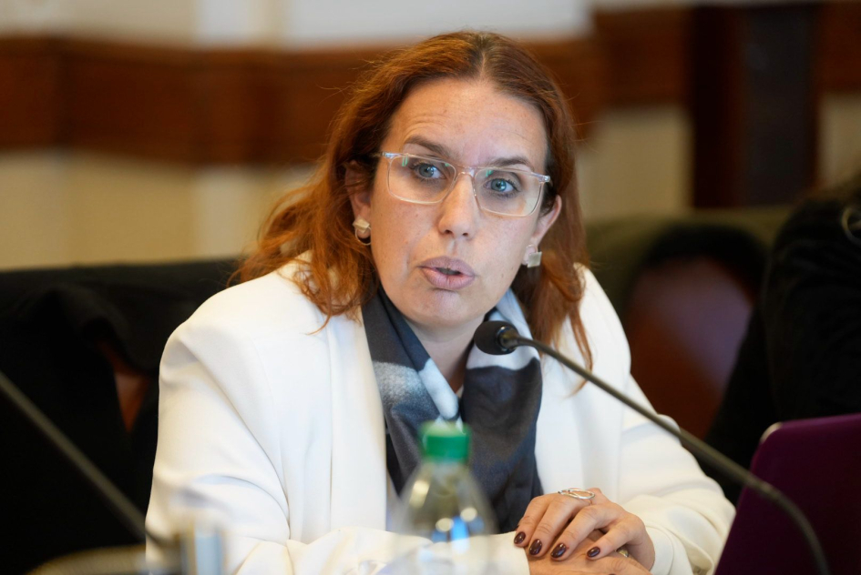 Dirección de Cultura respalda proyecto de ley sobre mujeres y disidencias en eventos musicales