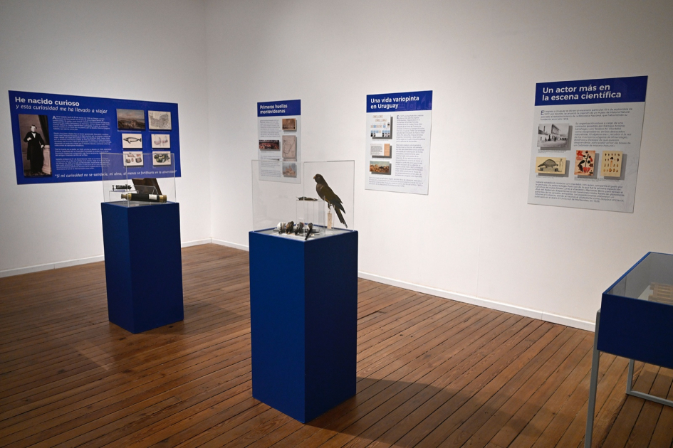 Exposición «Arsène Isabelle, 220 años» en el Museo Nacional de Historia Natural